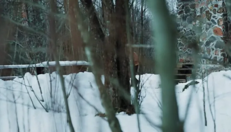 Момент из 7 серии 2 сезона