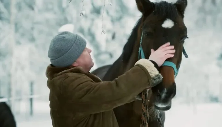 Момент из 8 серии 2 сезона